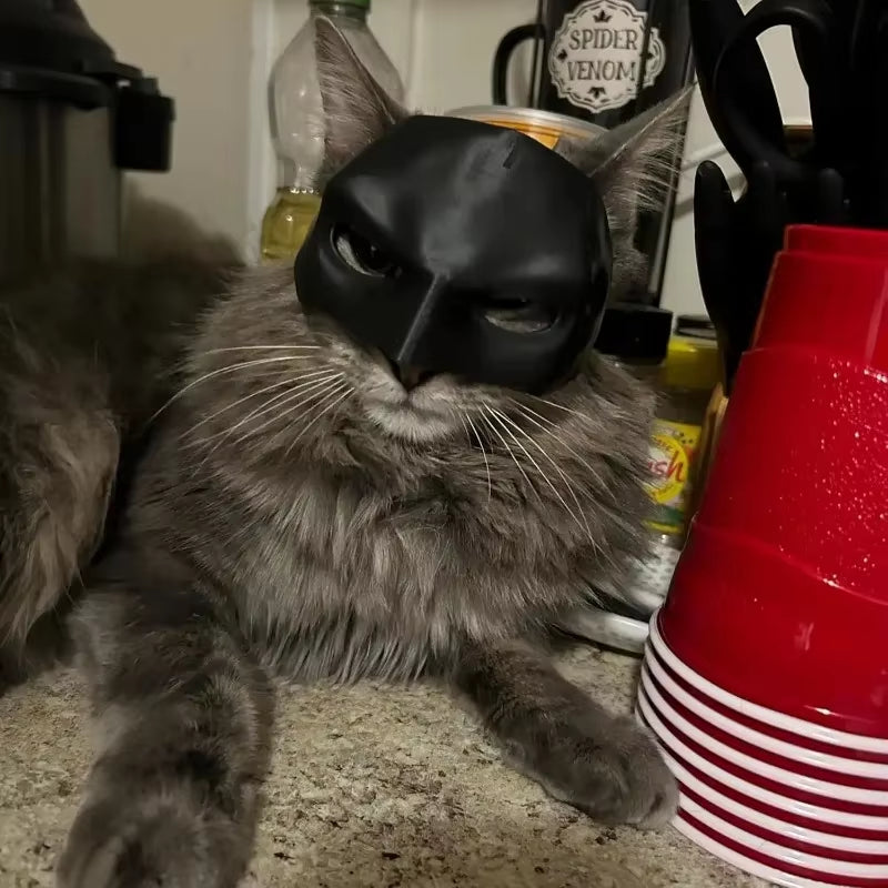 Bat Cat Avenger , Cool Cute Bat , Gift Matte Superhero Black Pet Toys for Cats and Dogs
